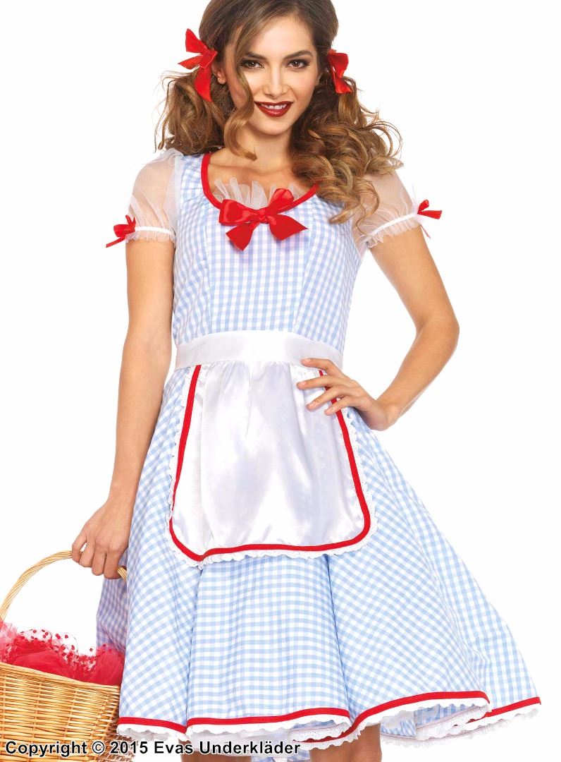Dorothy from Wizard of Oz, costume dress, checkered pattern
